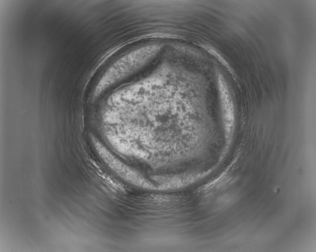 X0000072500829200608111626