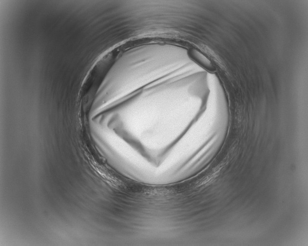 X0000072500830200608111626