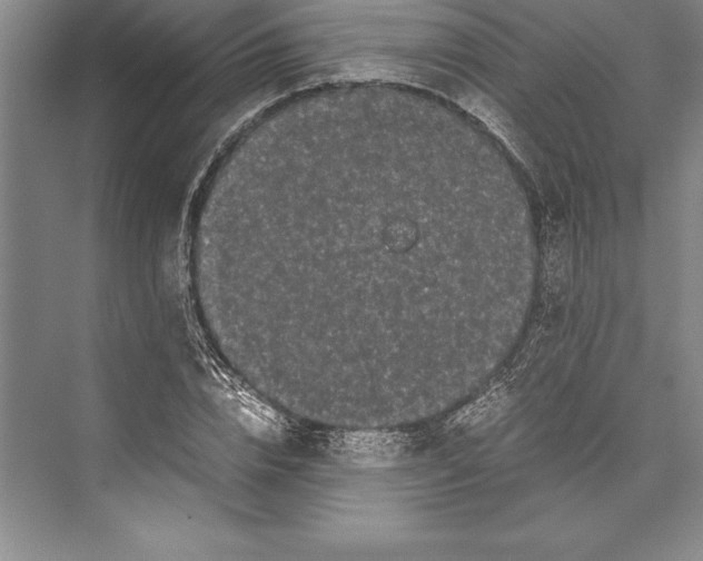 X0000072500832200608111626