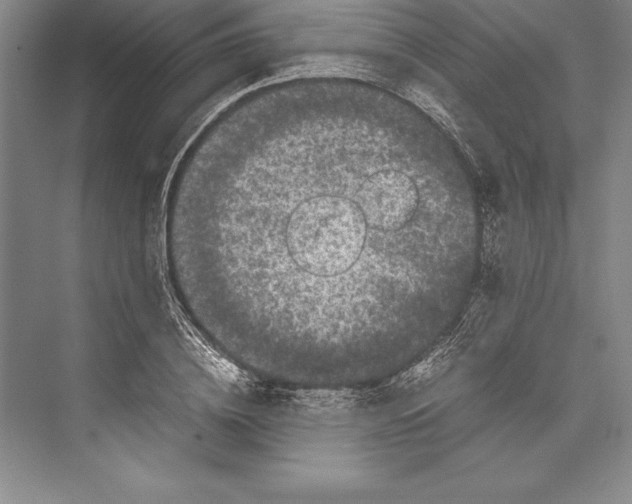 X0000072500836200608111626