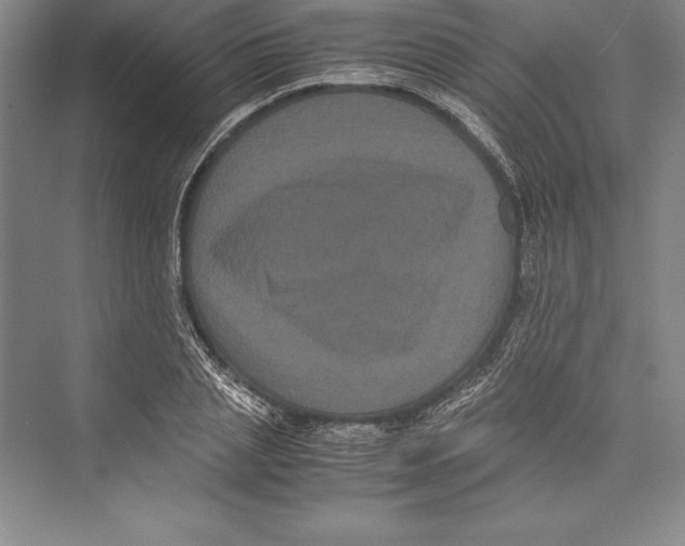 X0000072500837200608111626