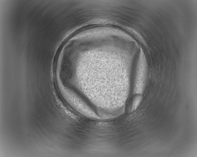 X0000072500839200608111626