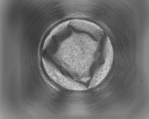 X0000072500840200608111626