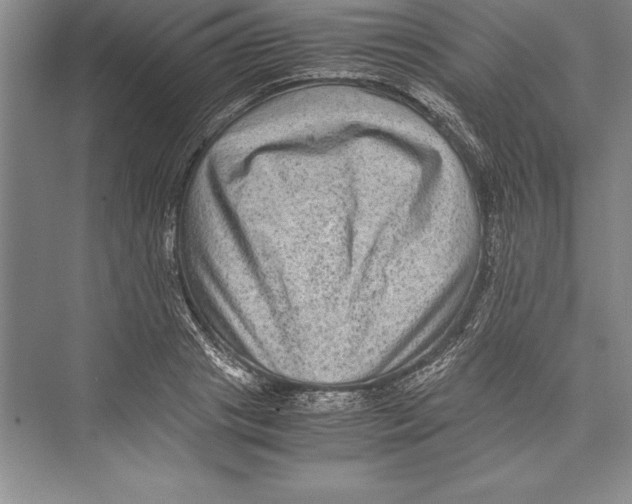 X0000072500841200608111626