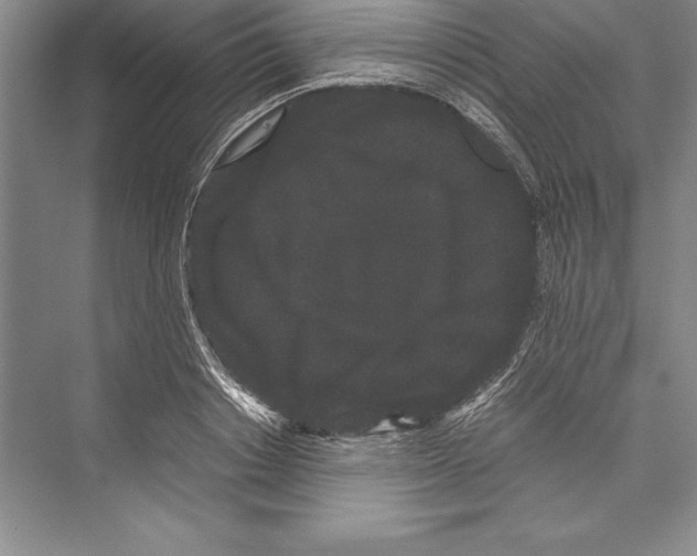 X0000072500842200608111626