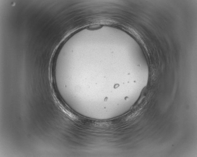 X0000072500843200608111626