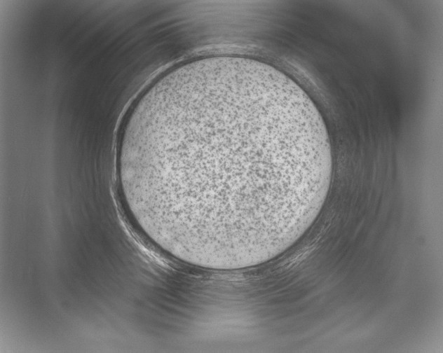 X0000072500844200608111626