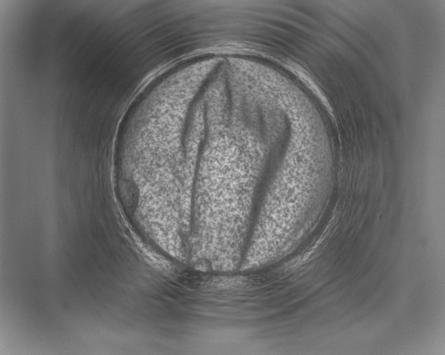 X0000072500845200608111626