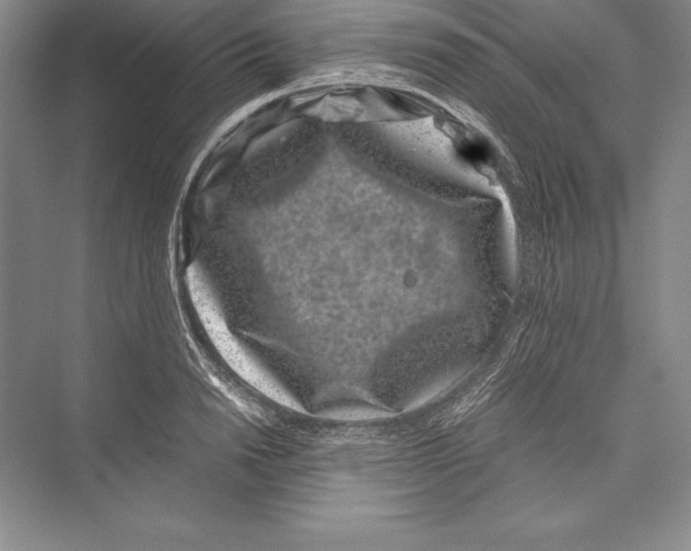 X0000072500846200608111626