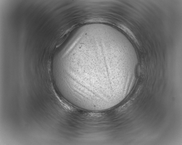 X0000072500849200608111626