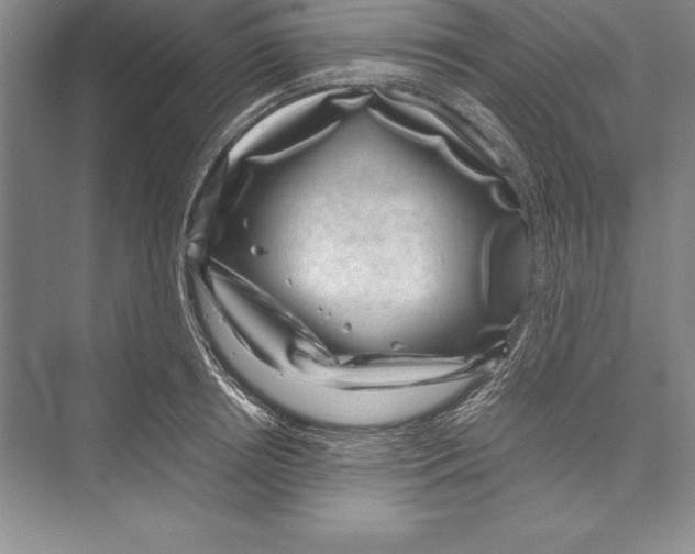 X0000072500850200608111626