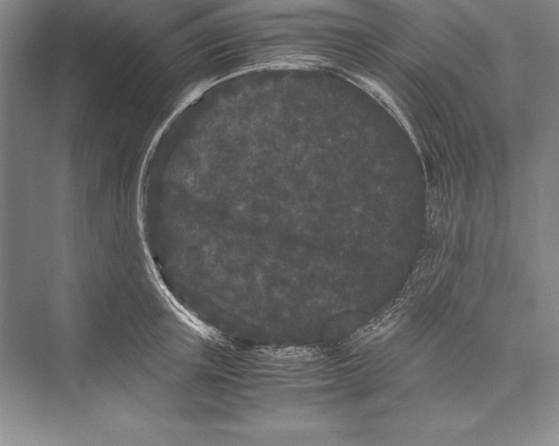 X0000072500851200608111626