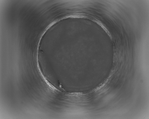 X0000072500853200608111626