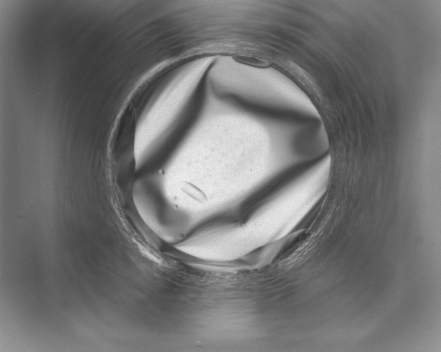 X0000072500854200608111626