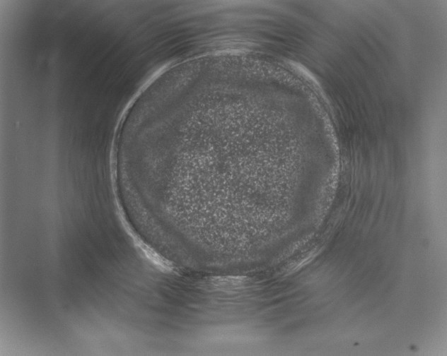 X0000072500859200608111626