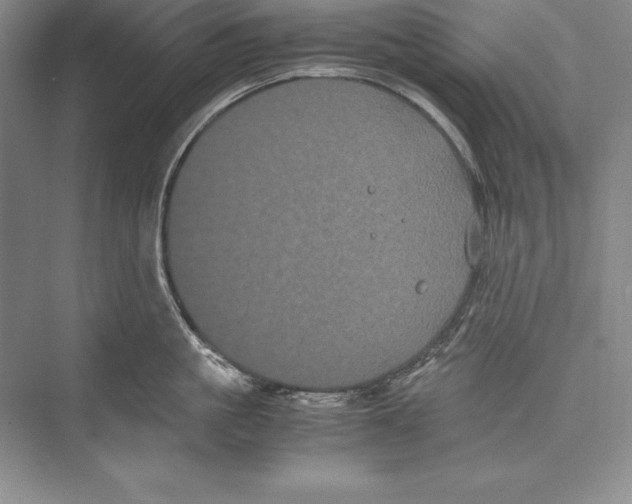 X0000072500861200608111626