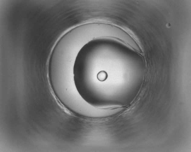 X0000072500862200608111626