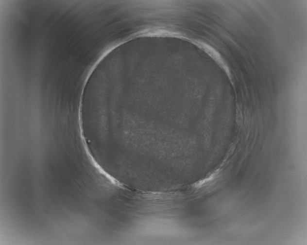 X0000072500863200608111626