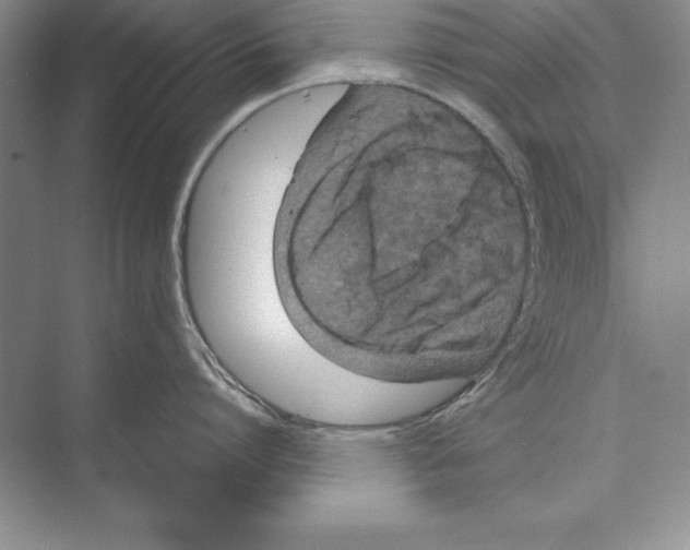 X0000072500864200608111626