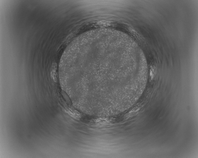 X0000072500867200608111625