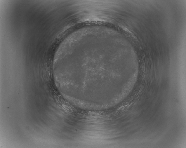 X0000072500870200608111625