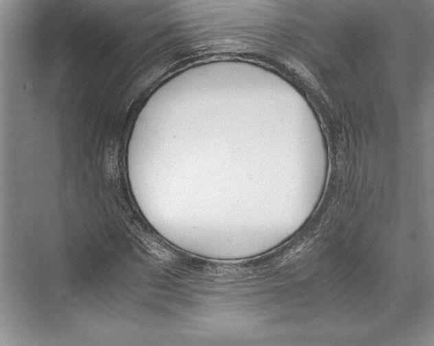 X0000072500873200608111625