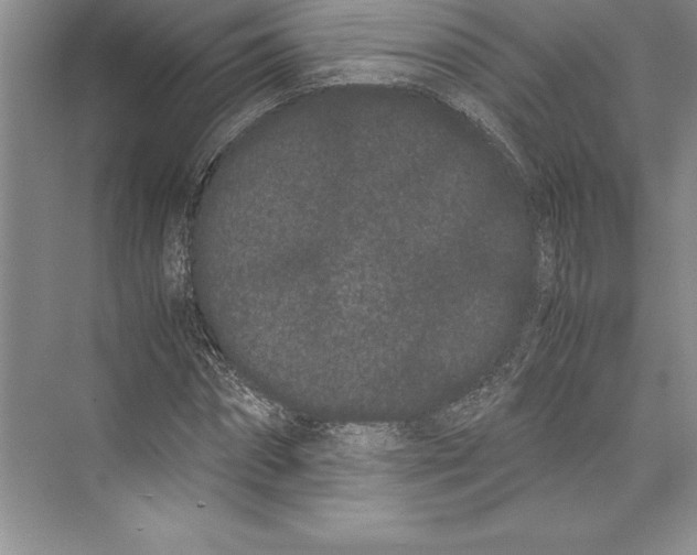 X0000072500874200608111625