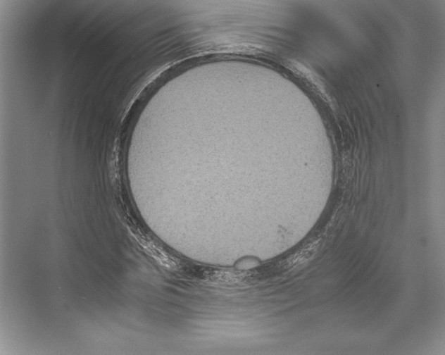 X0000072500875200608111625