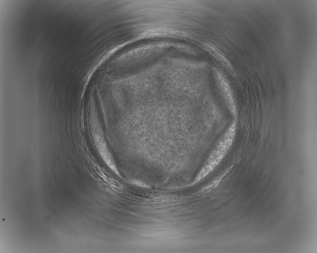 X0000072500877200608111625