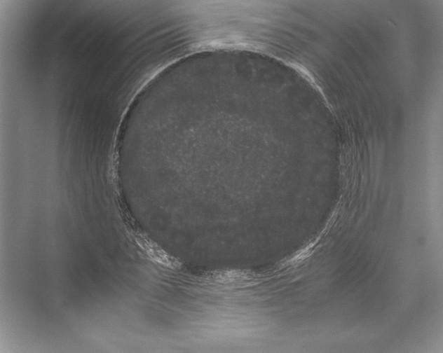 X0000072500879200608111625