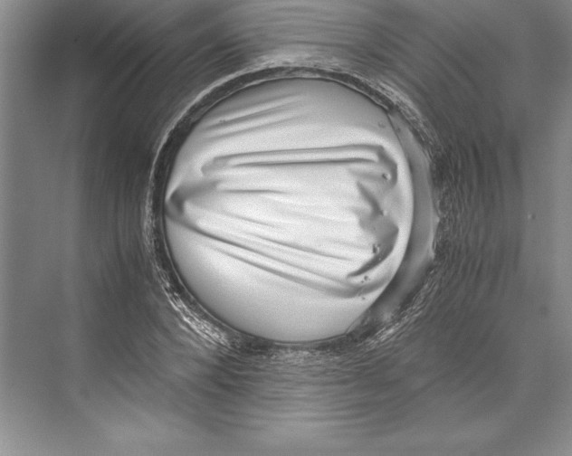 X0000072500880200608111625