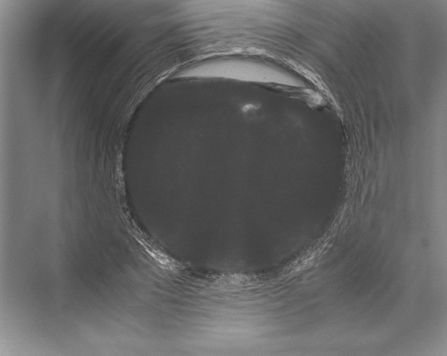 X0000072500881200608111625