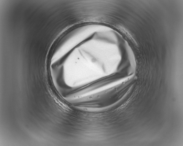 X0000072500884200608111625