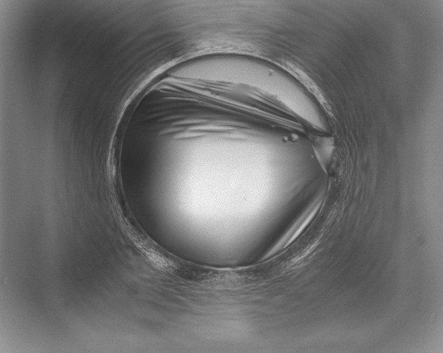 X0000072500885200608111625