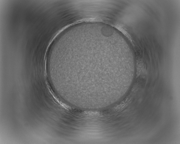 X0000072500886200608111625