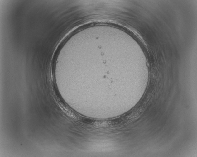 X0000072500887200608111625