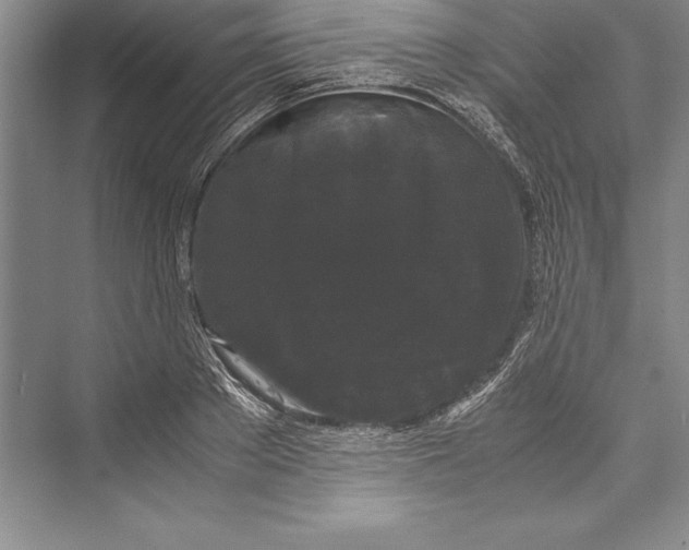 X0000072500889200608111625