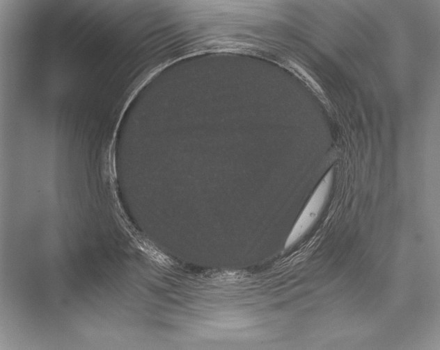 X0000072500891200608111625