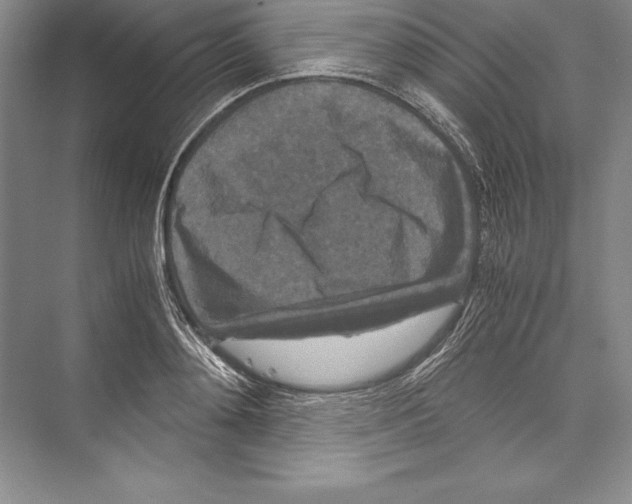 X0000072500892200608111625