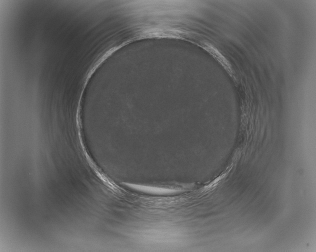 X0000072500893200608111625