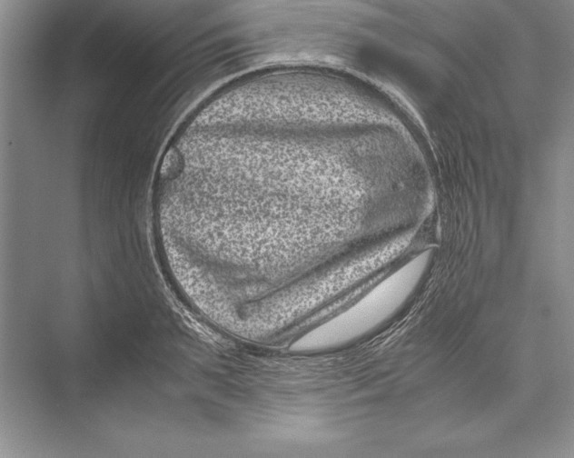 X0000072500895200608111625