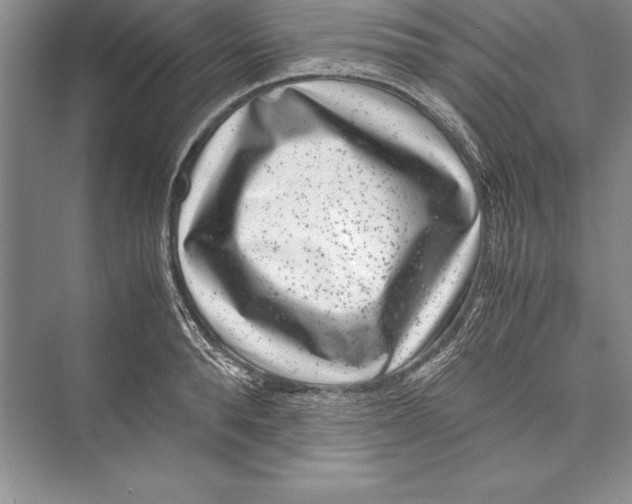 X0000072500896200608111625