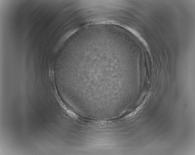 X0000072500897200608111625