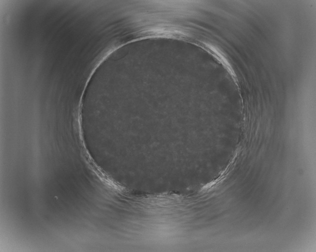 X0000072500899200608111625