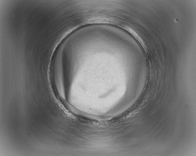 X0000072500901200608111625