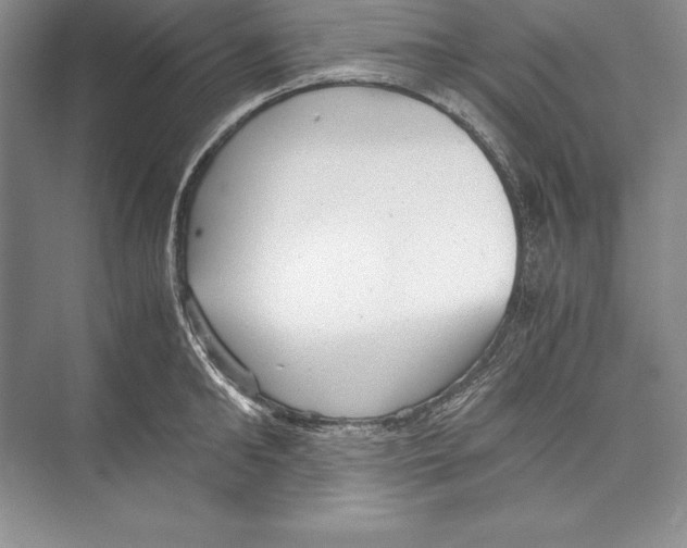 X0000072500902200608111625