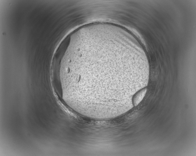 X0000072500903200608111625