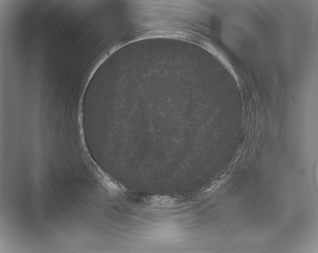 X0000072500907200608111625