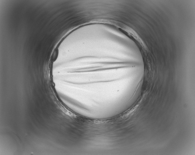 X0000072500908200608111625