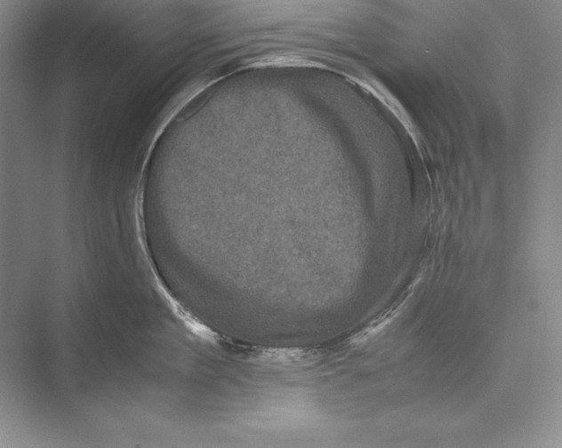 X0000072500909200608111625